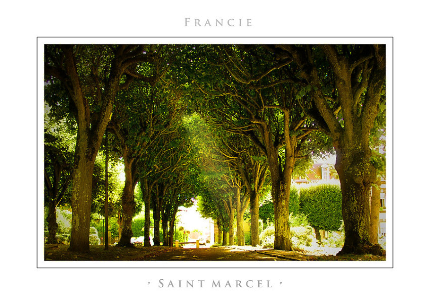 • SAINT MARCEL •