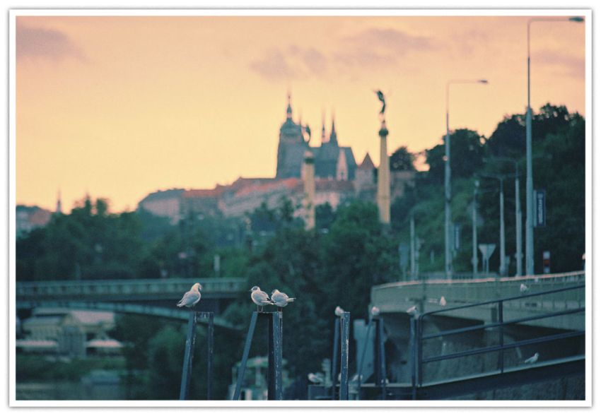 Prazsky hrad
