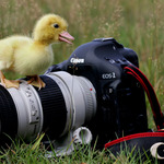 "Máš fakt dobrý objektiv..!"