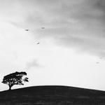 1000 miles across Wales #2