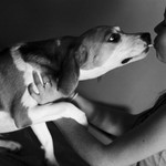 souboj o lízátko :-)