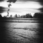 Idylicka domovina I.