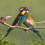 máte něco proti vlhám? :)