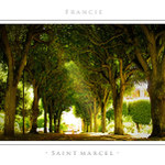 • SAINT MARCEL •