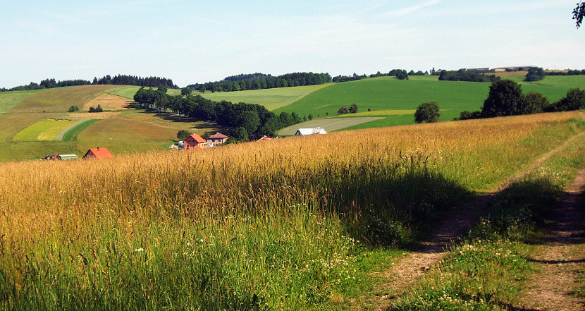 Morava