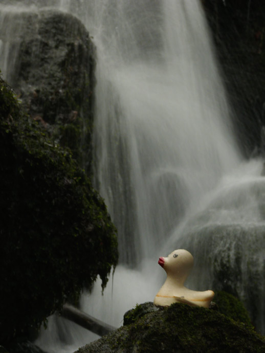 Niagára