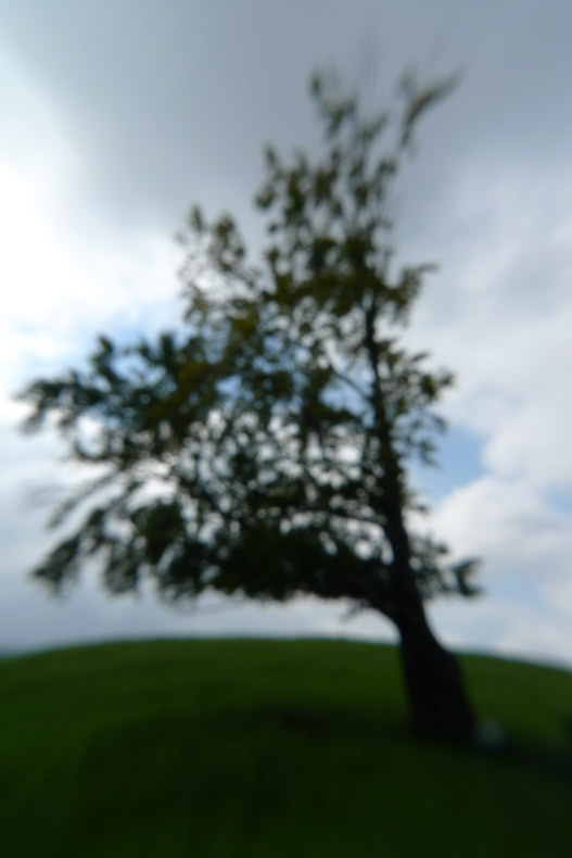 KraJina 3D