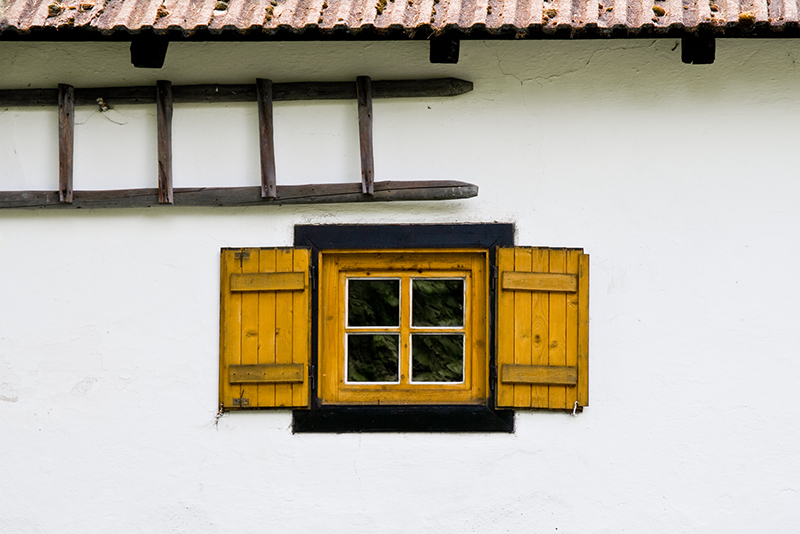 Žlutá