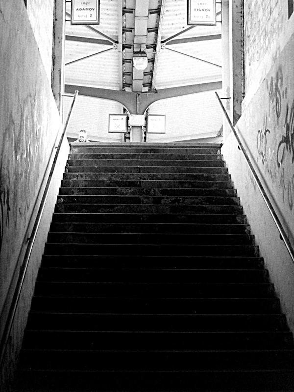 03 - ... lupou hledal