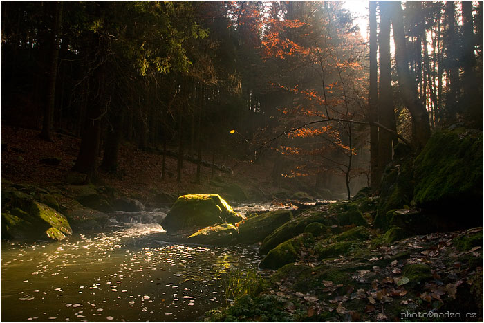 slunečná Doubravka