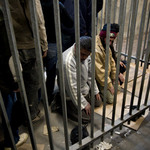 good morning sunshine