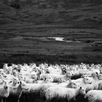 1000 miles across Wales #3