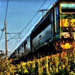 Tenhle jede na čas?