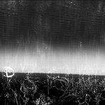 Riverside's high beam