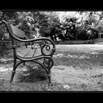 bench bw version
