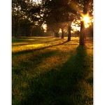 • K L Á Š T E R N Í  Z A H R A D A •