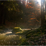 slunečná Doubravka