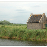Kinderdijk