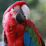 Z profilu říkáte..?