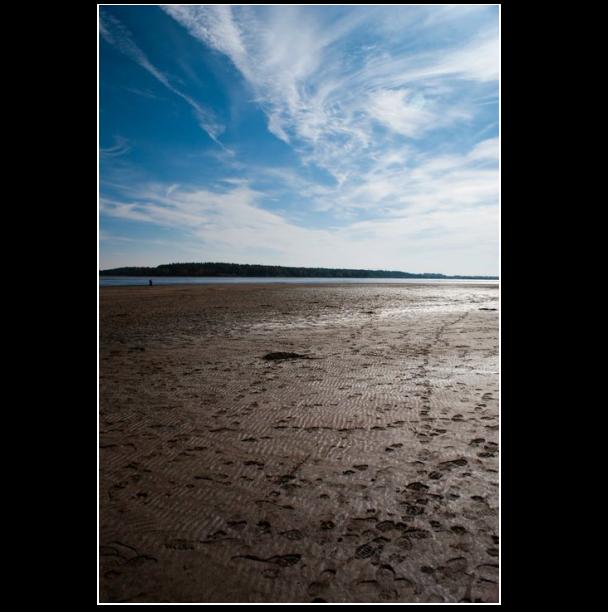 výlov rybníku Rožmberk