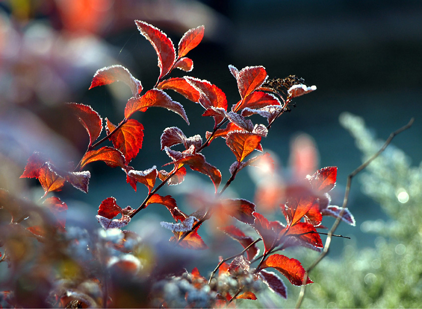 Sluníčko začíná hřát,ranní mrazík polevuje