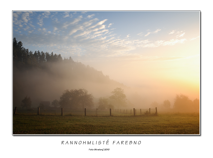 Rannohmlisté farebno