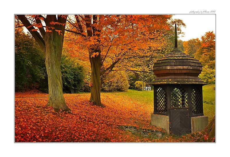 ... Podzim na Kozlu ...