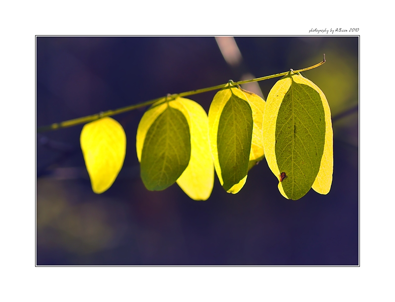 ... Prolínání ...