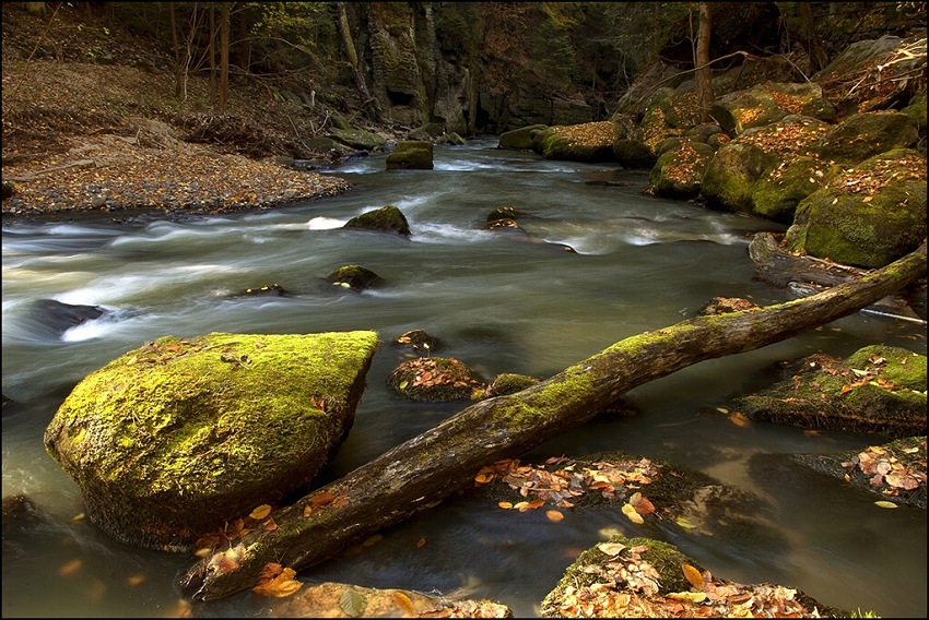 Kamenice