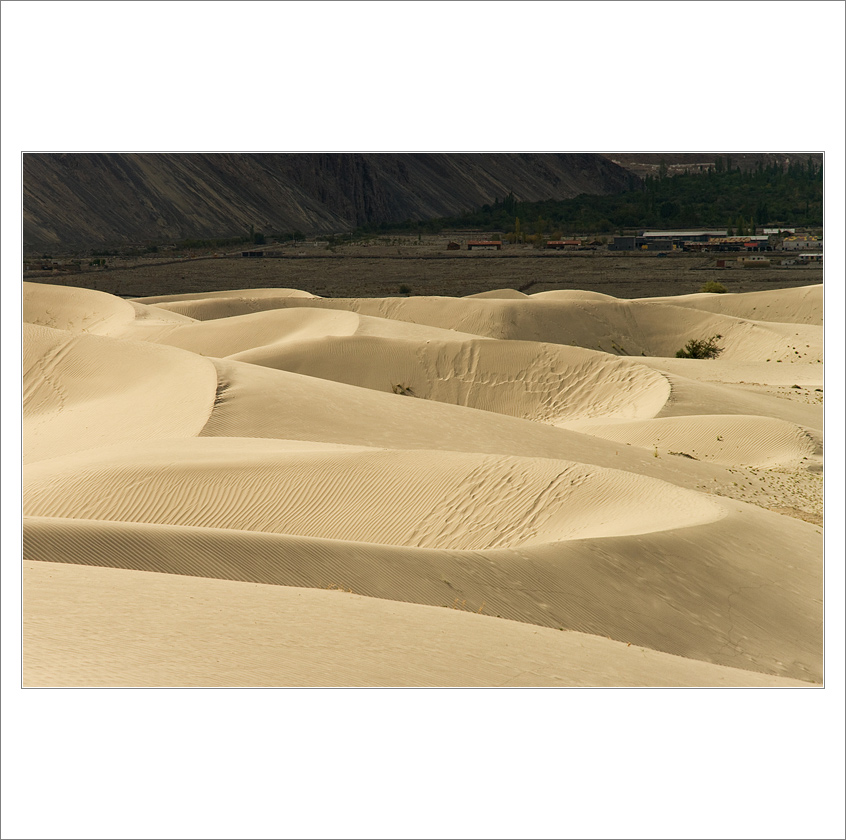 Nubra valley