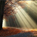 podzimní záležitos