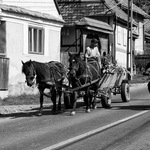 Pomalšie "brácho"!