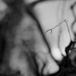 Dotek lesa - zastavení druhé