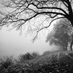 Všední krajinky ...