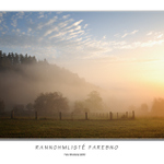 Rannohmlisté farebno