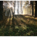 dneska bude krásně