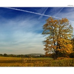 ... Chudenický podzim ...