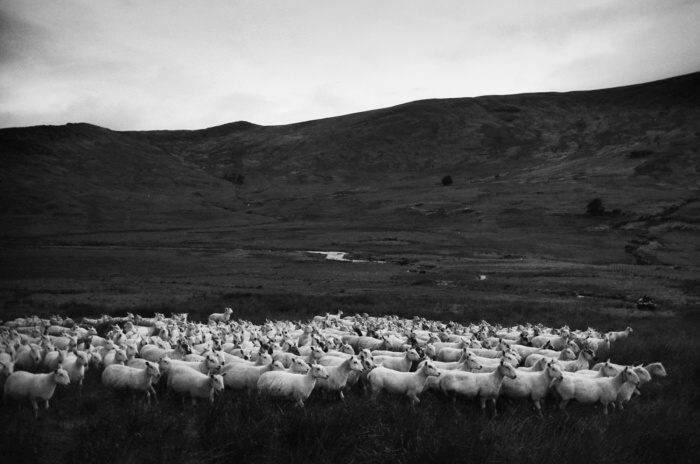 1000 miles across Wales #6