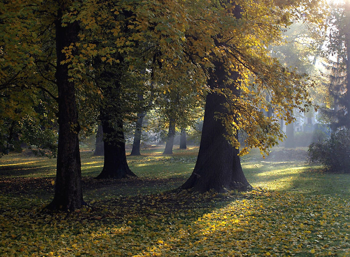 Podzim v parku