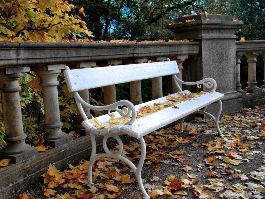 Podzimní lavička v Konopišti