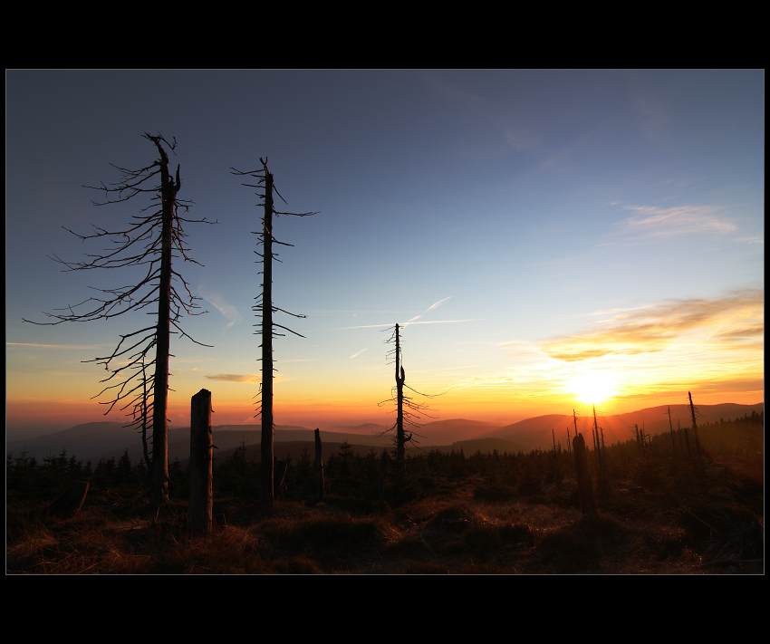 Medvědínské hraniční hvozdy