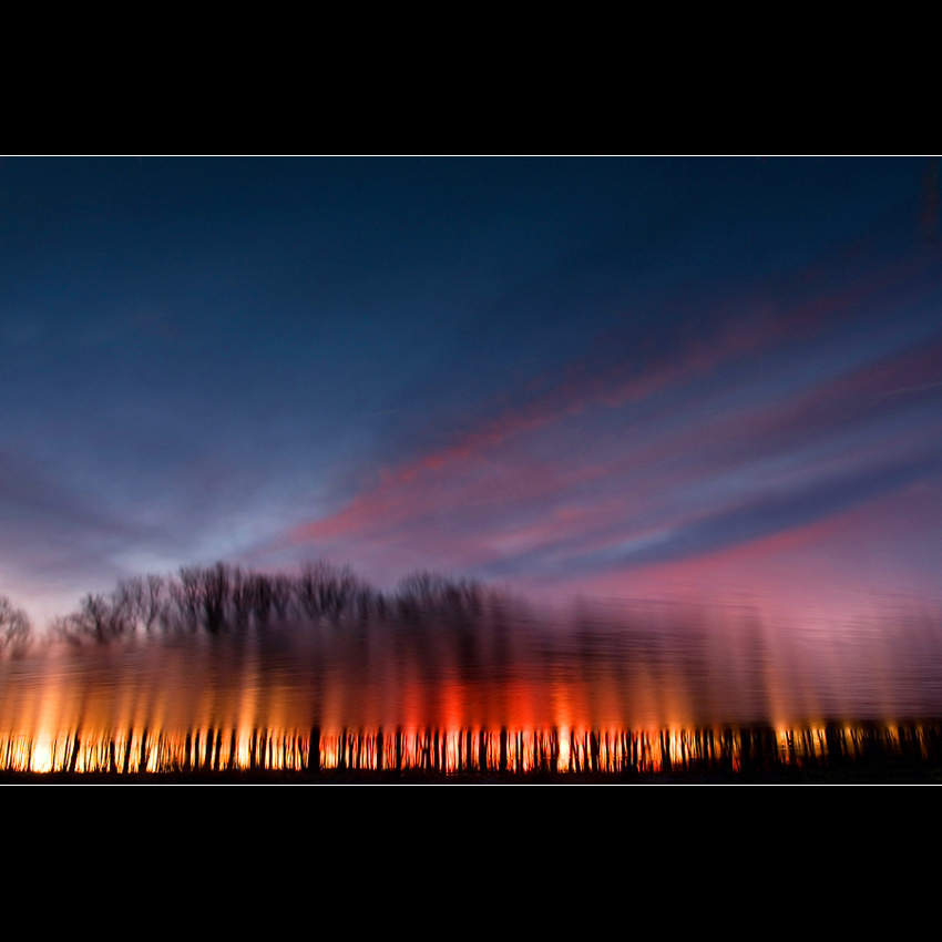 Když v lese hoří...