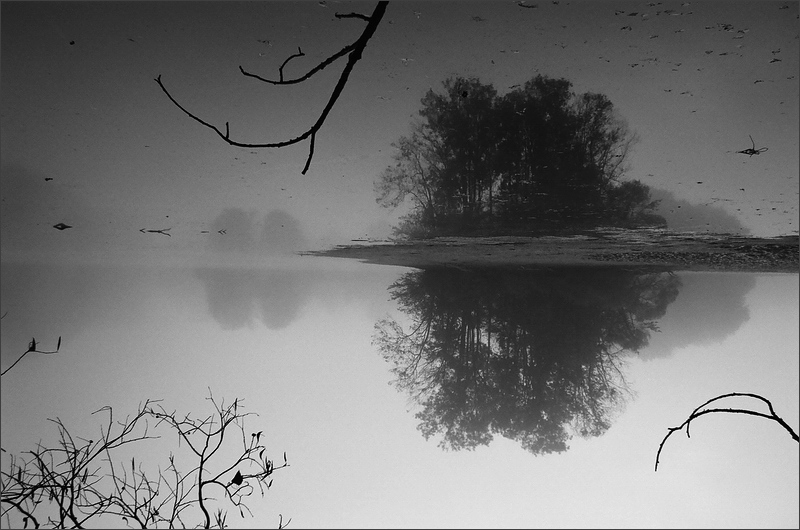 Rušiví elementálové