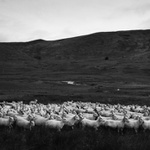 1000 miles across Wales #6
