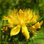 trocha léta na začátku zimy