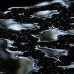 Terminátorova reinkarnace