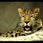 ...Z očí do očí...