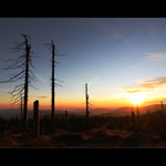 Medvědínské hraniční hvozdy