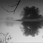 Rušiví elementálové