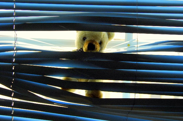 Medvídek se vrací...o:)